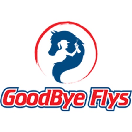 Goodbye Flys